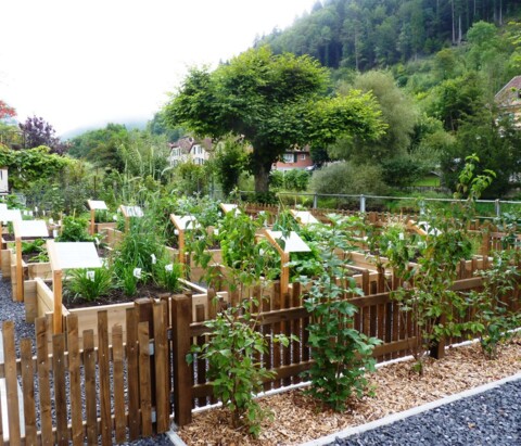 Jardin médiéval de Saint-Ursanne