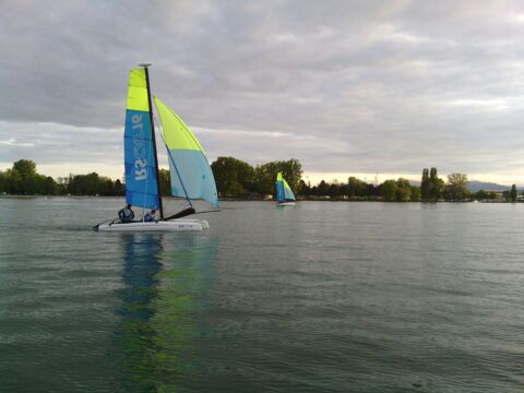 Y-voile