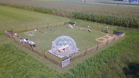 Ateliers Découv&rsquo;Nature – Lussery-Villars