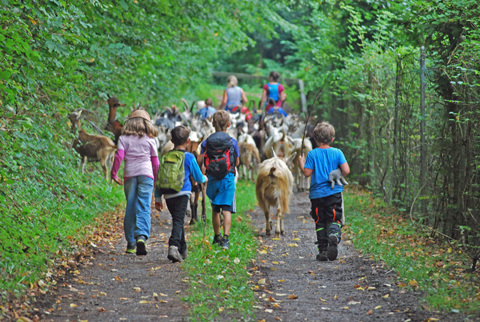 Hügeiss – Trekking avec des chèvres