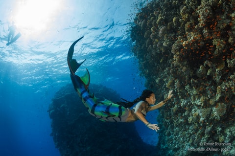 Metisphere Swiss Mermaid