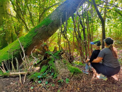 Sous La Ceiba : ateliers nature pour petits et grands