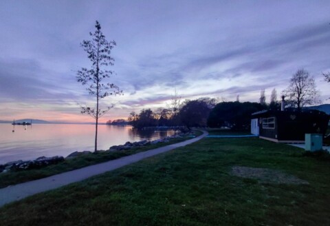 SaunaRolle (VD)