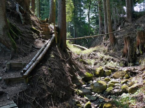 Sentier des Sorcières en Gruyère