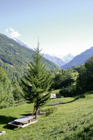 Prarion