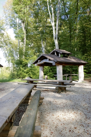 Cabane forestière du Rond-Bois