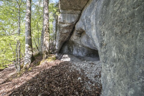 Grotte de Cotencher