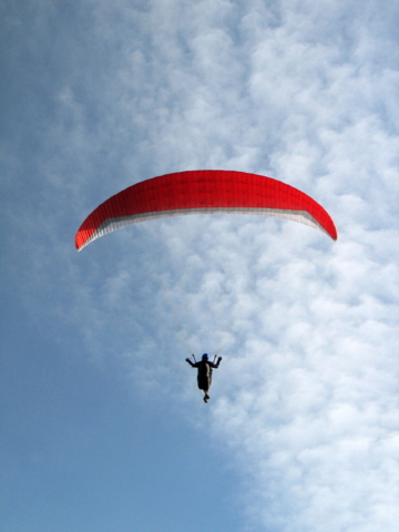 Les Ailes du Léman