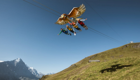First Glider
