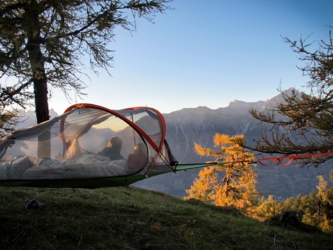 ArboCamp