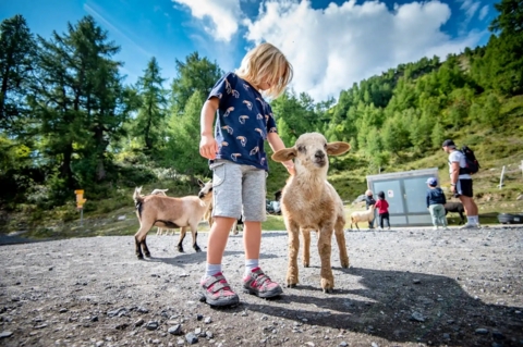 Mini zoo de Jorasse