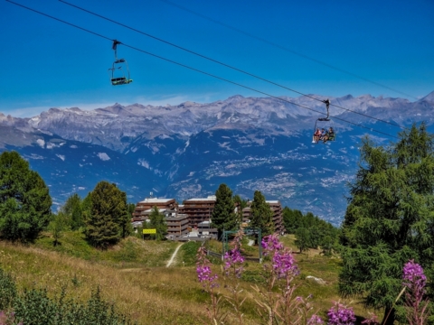 Vivez un été doux et proche de la nature à Thyon (VS)