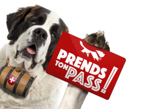 PASS Saint-Bernard