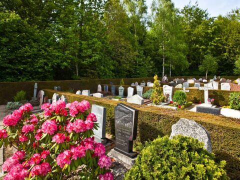 Passez des vacances éternelles à Lausanne