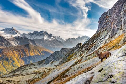 Le Parc de la vallée du Trient entre dans la cour des grands