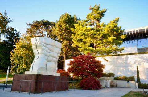 Un automne survitaminé au Musée Olympique