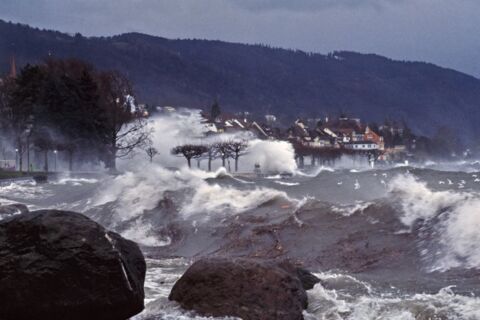 Alerte tempête – Parcs publics fermés à Genève