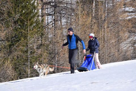 Husky Kids Day – Saas-Grund (VS)