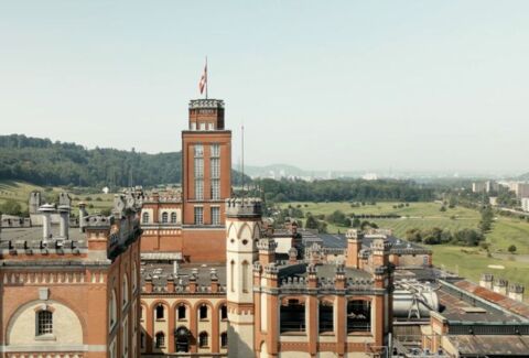 Aux portes de Bâle, un château pas comme les autres attire les curieux : celui de la bière suisse par excellence. À Rheinfelden, Feldschlösschen dévoile ses secrets de brassage au cœur d’un site unique, alliant tradition, technologie et… dégustation !