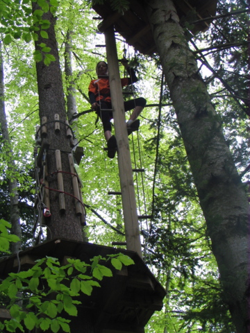 Parcours Aventure La Forêt des Dodes