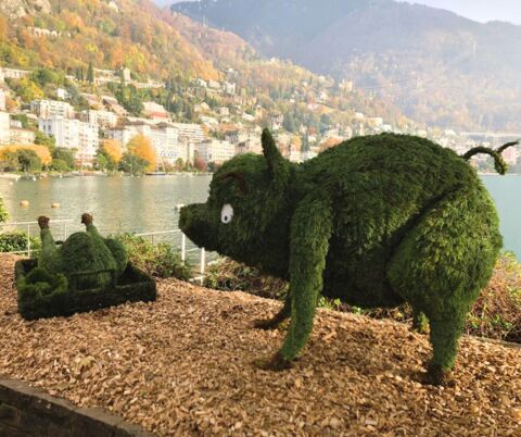 Sculptures végétales – Montreux