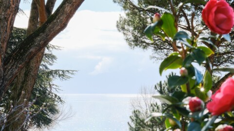 Les Floralies au Beau-Rivage Palace