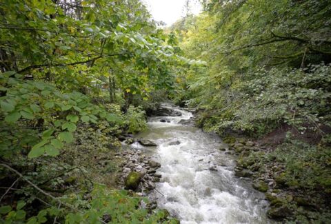 Au frais dans les gorges de la Veveyse