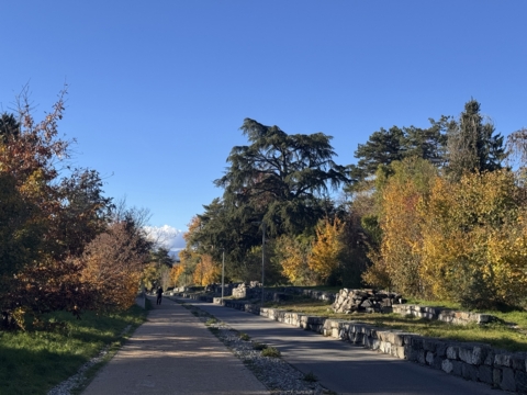 A saute-frontière