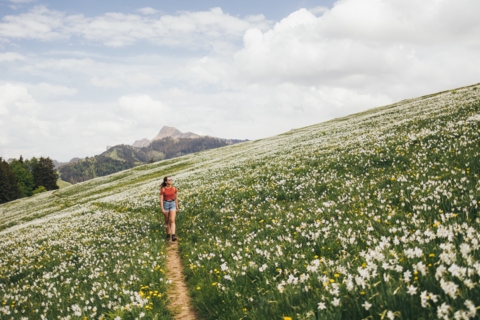 Sentier des narcisses