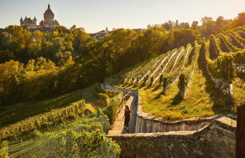 Morges Wine Tour (VD)