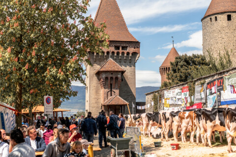 La Ferme en Ville – Estavayer-le-Lac (FR)