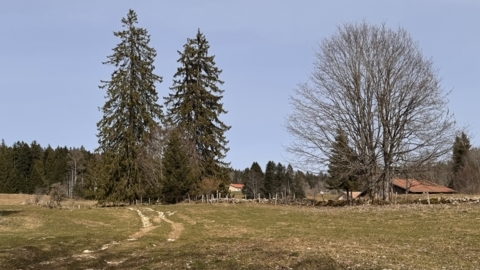 Vers La Chaux-de-Fonds