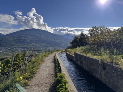 Le long du bisse de Clavau