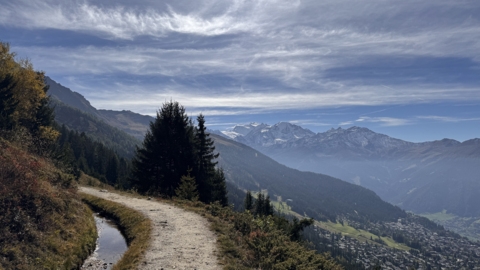 Par le bisse du Levron