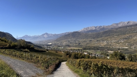 Par le bisse de Ricard
