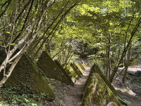 Du Jura au Léman