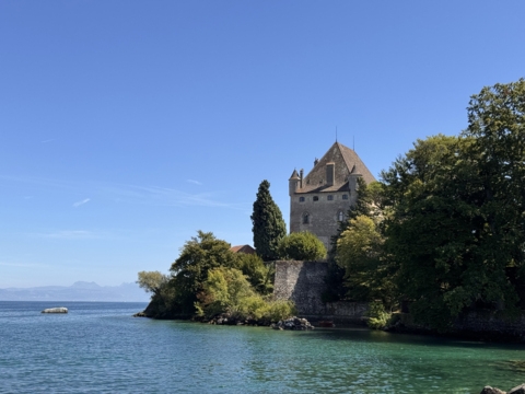 Incursion sur la rive française du Léman