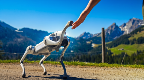 Ben Ben, le compagnon 2.0 de Loisirs.ch