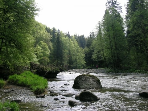 Durch das romantische Sihltal