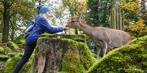 Natur- und Tierpark Goldau