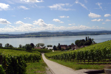 Historischer Wanderweg Vully