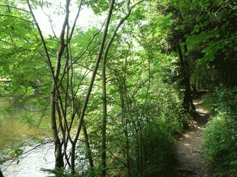 Wanderung entlang des Doubs