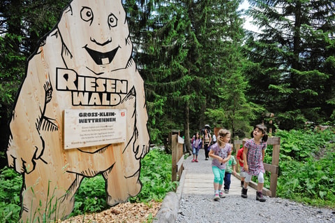 Riesenwaldweg in Elm