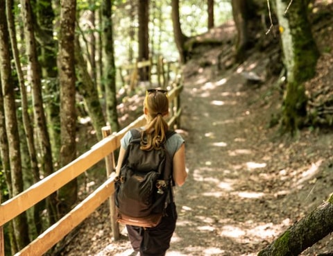 Chemin des poussettes in Champéry