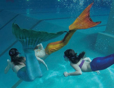 Meerjungfrauen-Schwimmschule:  Neue Kurse