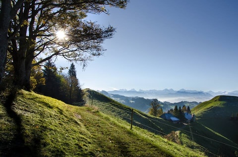 Emmentaler Frühlingsfest