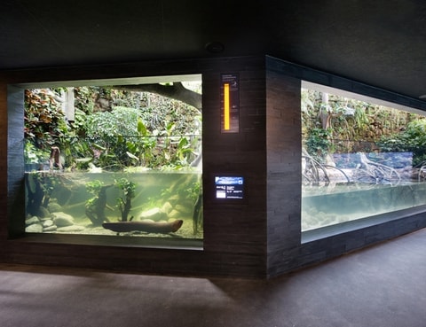 Zoo Zürich eröffnet neues Aquarium