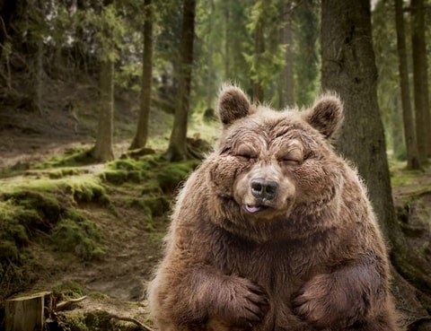 „Bärenschiss-Aktion“ im Tierpark Goldau