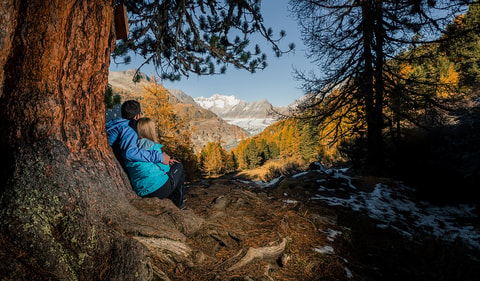Wald-Arznei zum Einatmen in der Aletsch-Arena