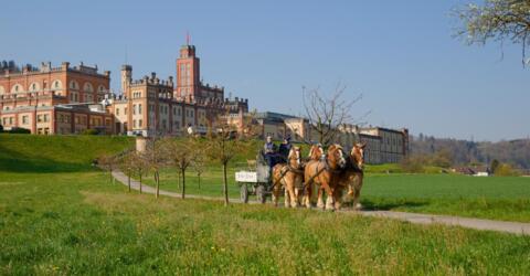 La brasserie Feldschlössen fête ses 150 ans !